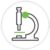 Alflorex przebadany szczep - grafika mikroskop.