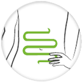 Symbiosys alflorex unikalny probiotyk dla jelit